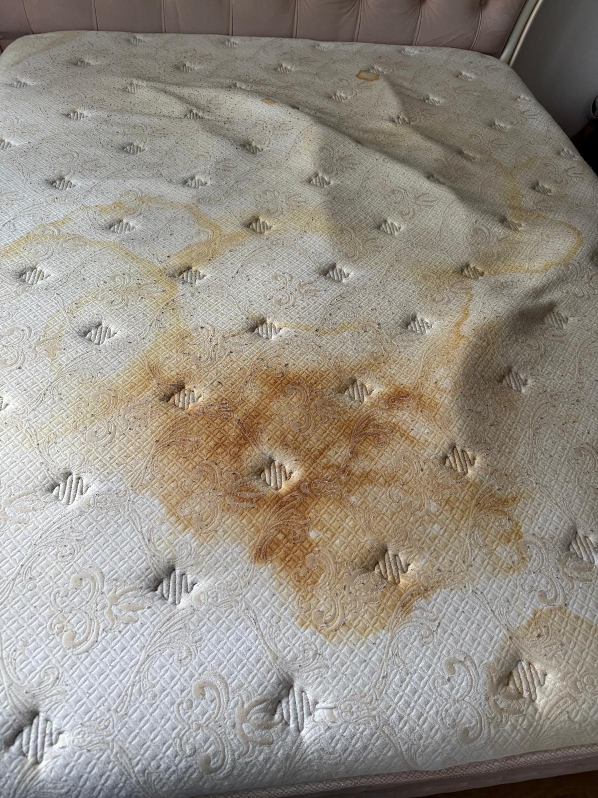 Matratzen Tiefenreinigung Urinflecken Vorher
